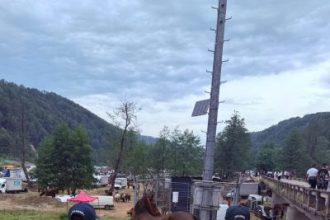 Cal Furat De 2 Ani Gasit De Jandarmi