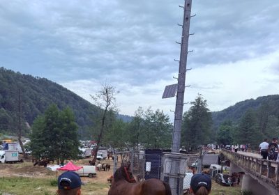 Cal Furat De 2 Ani Gasit De Jandarmi