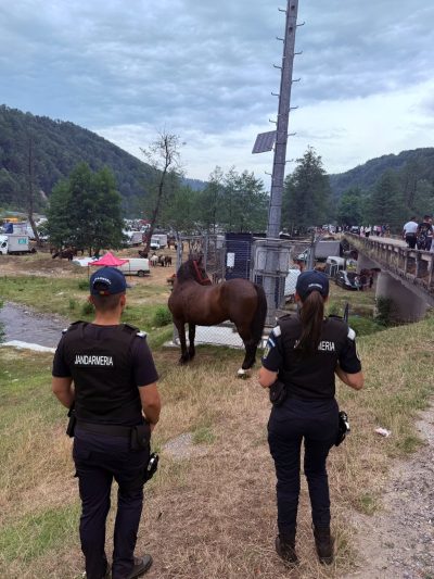 Cal Furat De 2 Ani Gasit De Jandarmi