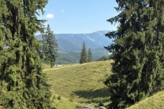 Camion rasturnat in rapa soferul a scapat