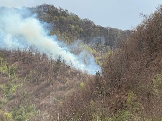 Nu dai foc vegetatiei uscate Amenzi usturatoare