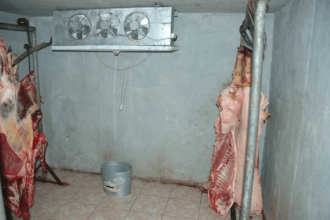 Abator Clandestin la Poiana Lacului