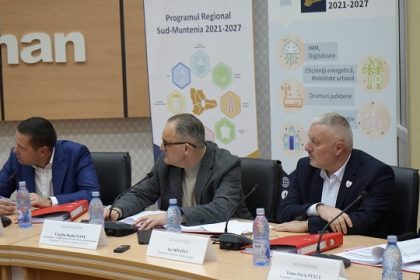 Marius Nicolaescu la Consiliul pentru Dezvoltare Regionali Sud Muntenia