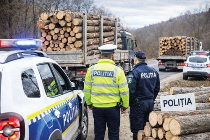 43 De Metri Cubi De Lemn Confiscati si Amenzi De Zeci De Mii De Lei
