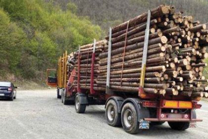 Amenda si confiscarea materialului lemnos