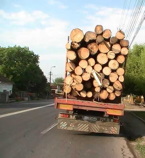 Amenzi si Confiscari in Arges Transport ilegal de peste 80 de metri cubi de lemn