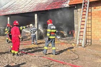 Anexa incendiata intentionat o cabalina a murit