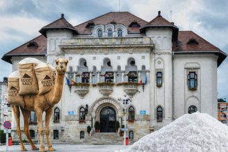 Deszapezire exotica glume amare pe strazi si intrebari fara raspuns