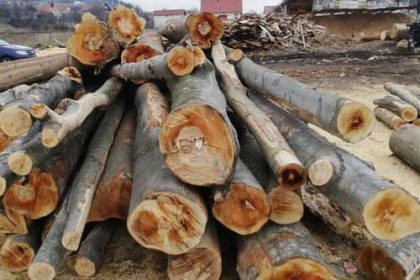 Lemn Fara Documente Gasit La Rucar Operator Economic Amendati si Material Confiscat