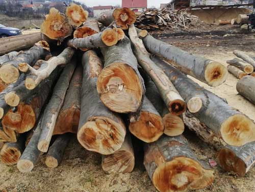 Lemn Fara Documente Gasit La Rucar Operator Economic Amendati si Material Confiscat