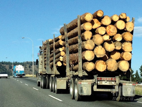 Transport Ilegal de Lemn Descoperit la Berevoesti