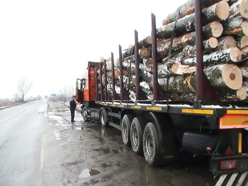 Transport Ilegal de Lemn Identificat in Arges