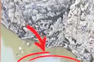Avertizare de Poluare la Lacul Vidraru