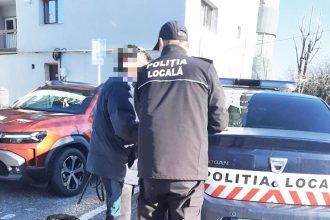 Proprietari Amendati Pentru Ca Nu Au Curatat Dupa Caini