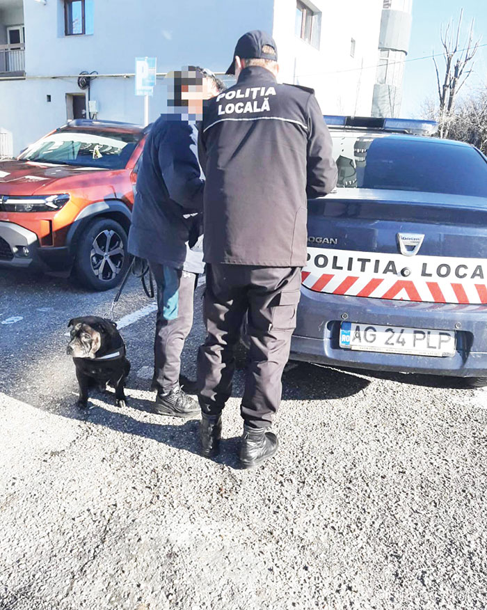 Proprietari Amendati Pentru Ca Nu Au Curatat Dupa Caini