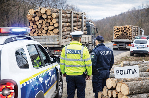 Razii in Forta Amenzi si Confiscari in urma Controalelor pe Drumurile din Muscel