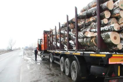 Transport Ilegal de Lemn in Domnesti
