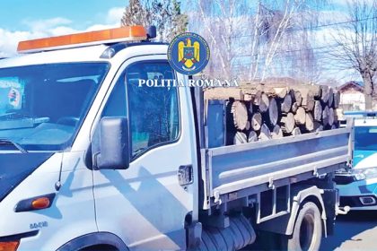 Transport Ilegal de Lemne Descoperit la Bradu