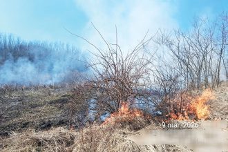 incendii de vegetatie in mai multe localitati din judet
