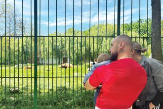 Detinutii Vizita La Gradina Zoologica Impreuna cu Copiii