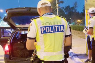 Permise Suspendate Vehicule Oprite Pe Marginea Drumului