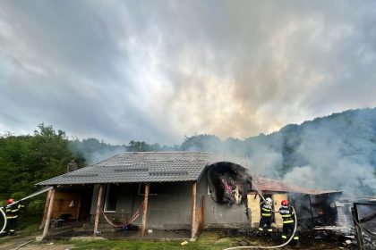 Incendiu De Vasa intr o Gospodarie din Miheti