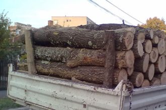 Transportator de lemne sanctionat contraventional in urma verificarilor efectuate de politistii din Rucar