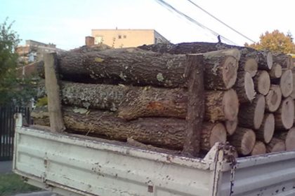 Transportator de lemne sanctionat contraventional in urma verificarilor efectuate de politistii din Rucar
