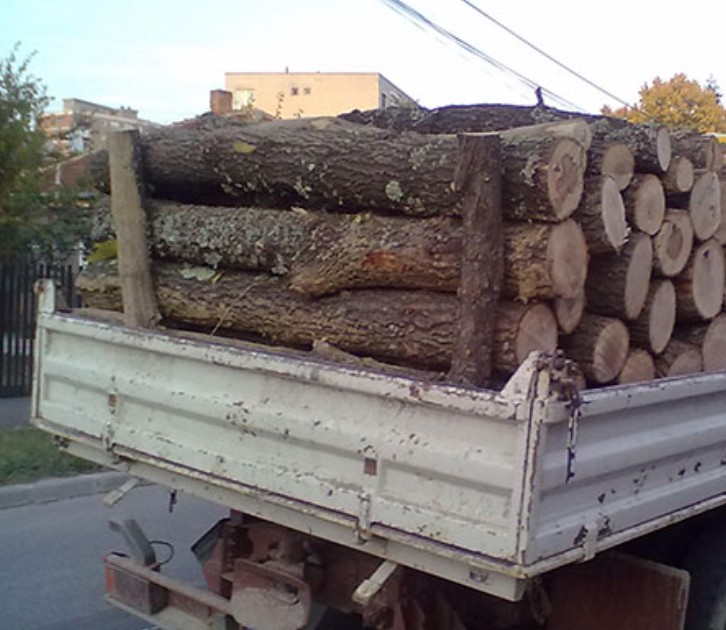 Transportator de lemne sanctionat contraventional in urma verificarilor efectuate de politistii din Rucar