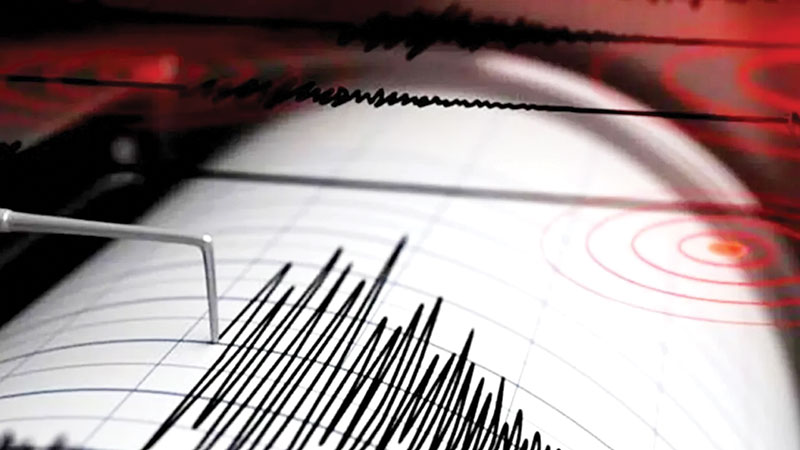 Cutremur in Zona Seismica Vrancea Joi dupa amiaza Care a fost magnitudinea acestuia